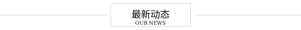 最新动态